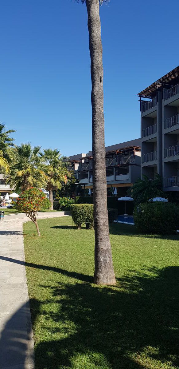 imagini hotel BARUT HEMERA